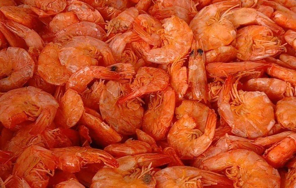 1 Big headless red dried Shrimp