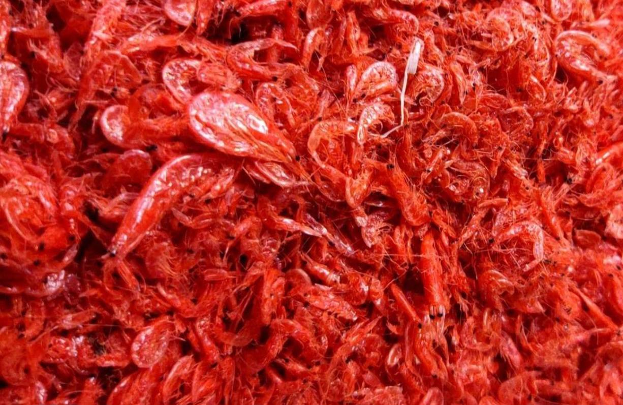 4 Dried dark red Shrimp