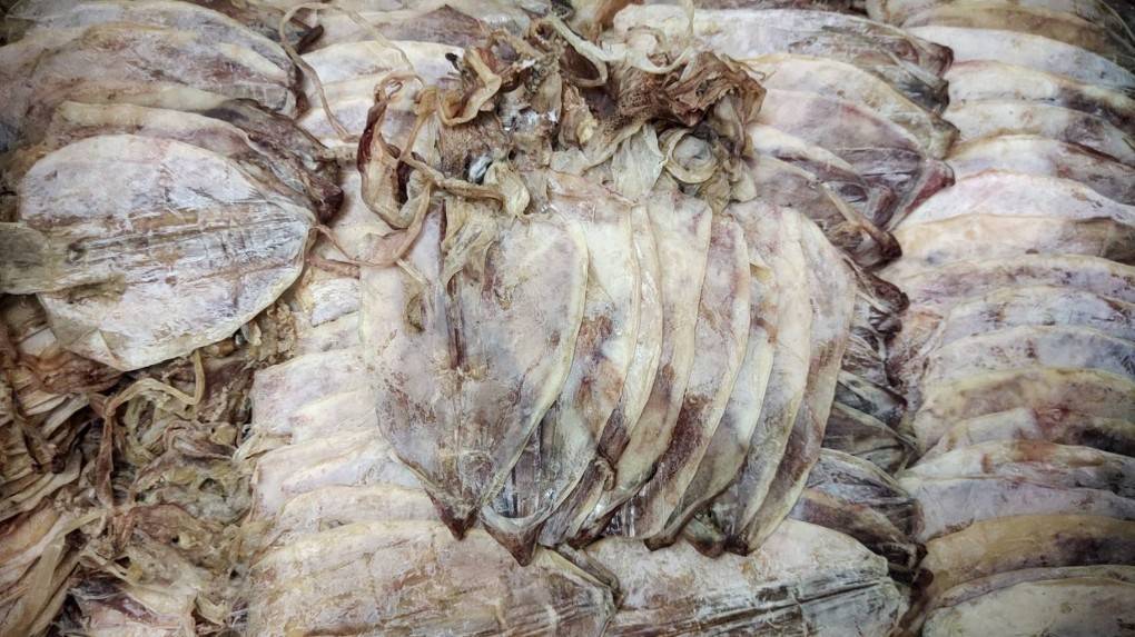 9 Dried Cuttlefish AAA